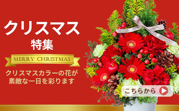 クリスマス 花のギフト・プレゼント特集2023