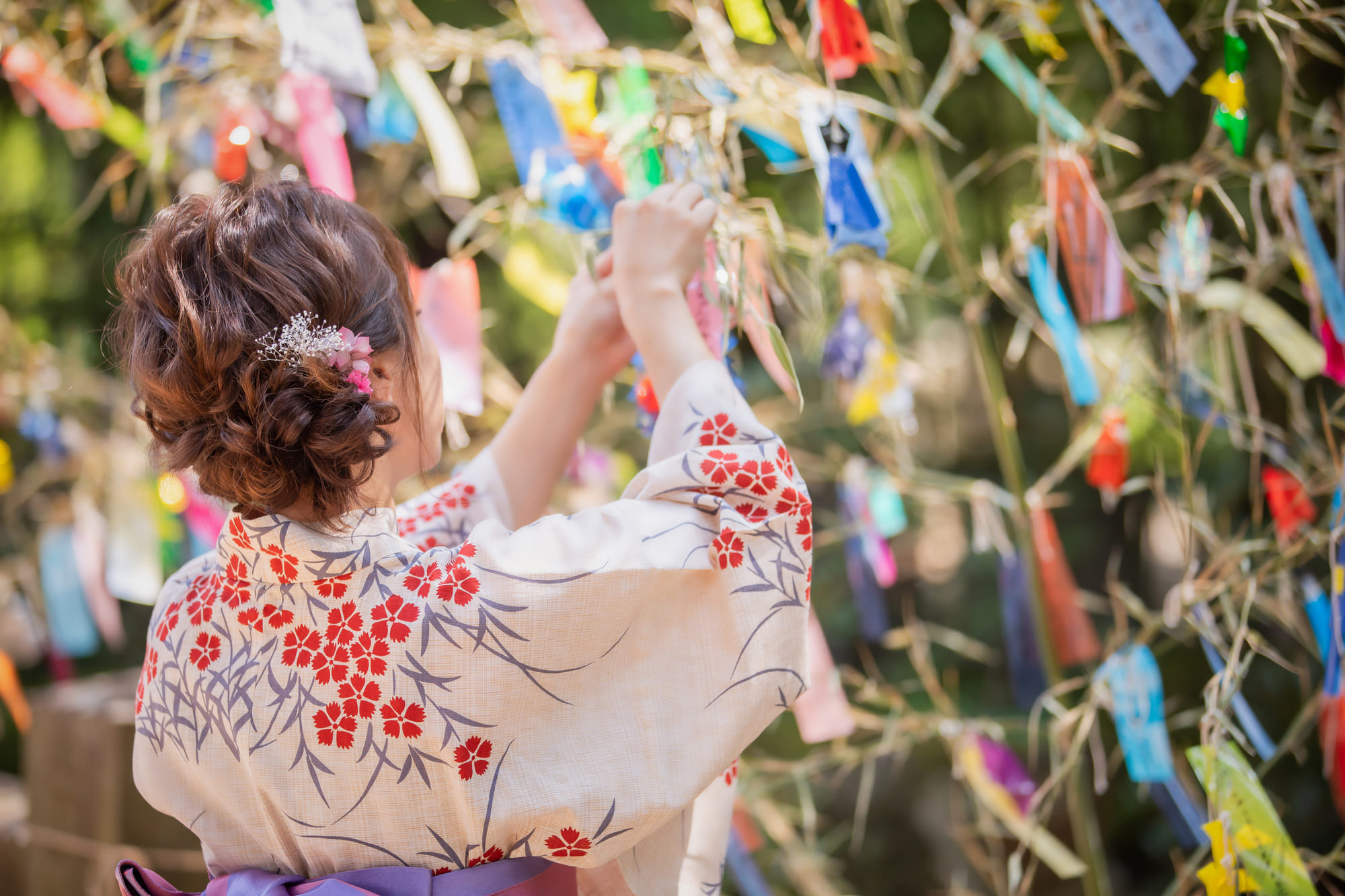 七夕っていつ？七夕におすすめの花の種類と花言葉｜物語・由来、笹を