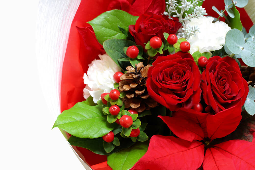 12月の誕生花の花言葉は 赤バラとポインセチアをご紹介 花だより