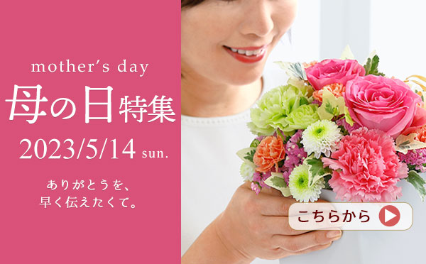 母の日 花のギフト・プレゼント特集2023