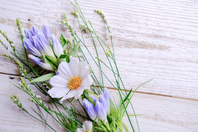 9月の誕生花【リンドウ】の花言葉や英語、育て方について。秋の花ギフトを贈ろう - 花だより