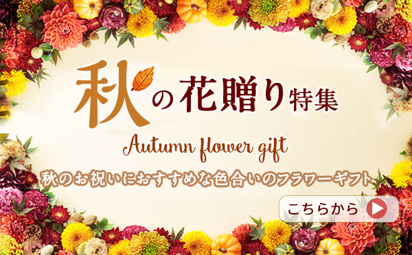 秋の花贈り ギフト・プレゼント特集2023