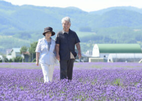 喜寿は何歳？ 何色でお祝いする？メッセージ例文・プレゼントでおすすめな紫色の花の種類を紹介