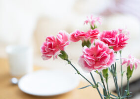 母の日は花とグルメ・おかずはいかが？食べやすいお茶漬けは特におすすめ
