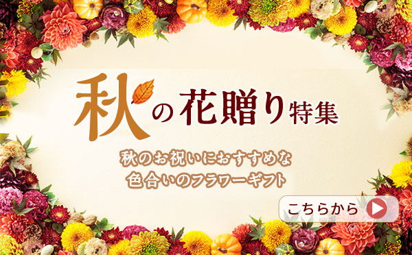 秋の花贈り ギフト・プレゼント特集2025
