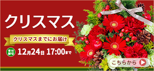 クリスマス　花のギフト・プレゼント特集2022
