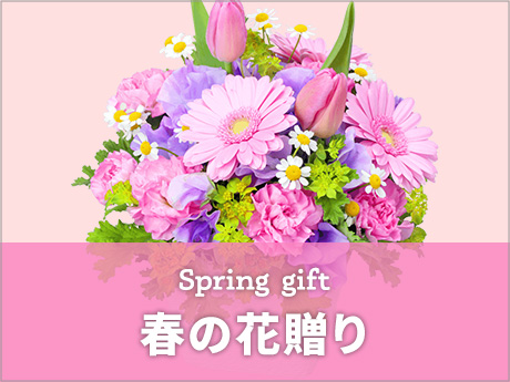 春の花贈り ギフト・プレゼント特集2023