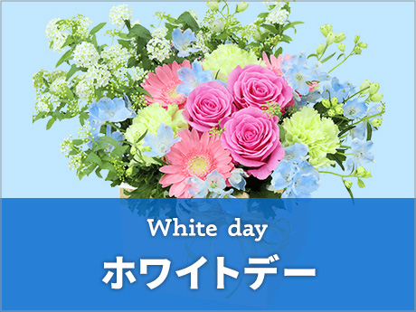 ホワイトデー 花のギフト・プレゼント特集2023