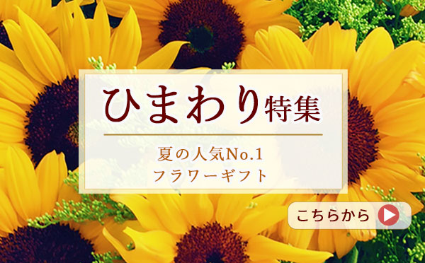 ひまわり特集