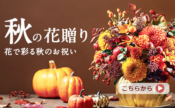 秋の花贈り