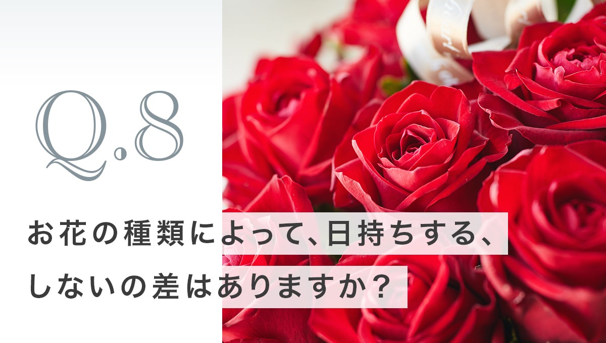 Q8 お花の種類によって 日持ちする しないの差はある 日持ちする花を紹介 花 キューピットのフローリスト直伝テクニック お花を長く 美しく楽しむ方法をご紹介 フラワーギフト通販なら花キューピット