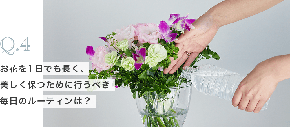 Q4.お花を1日でも長く、美しく保つために行うべき毎日のルーティンは？｜花キューピットのフローリスト直伝テクニック。お花を長く・美しく楽しむ方法をご紹介