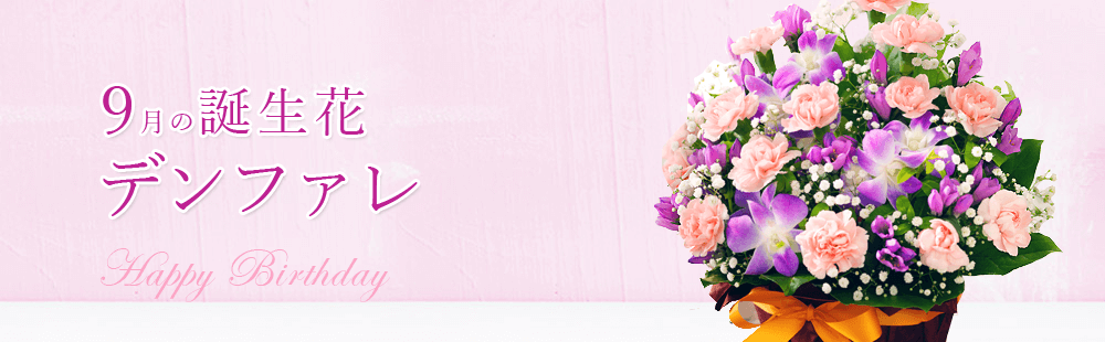 365日の誕生花 今日のお花はどんな花 インターネット花キューピット