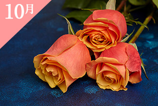 10月の誕生花オレンジバラ