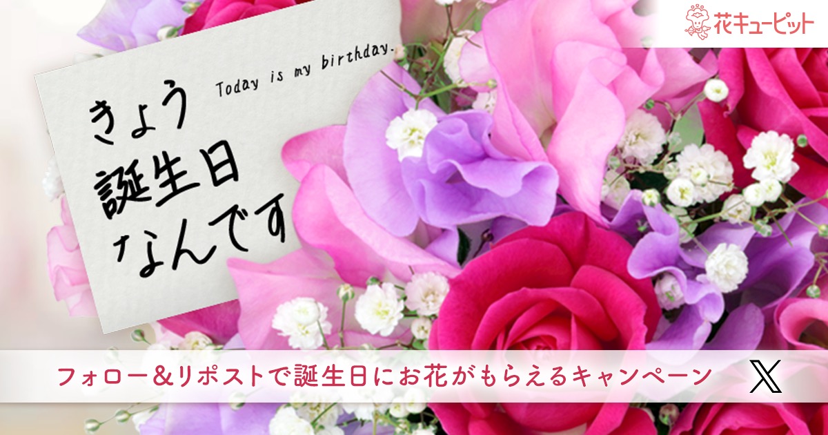 きょう誕生日なんです｜フラワーギフト通販なら花キューピット