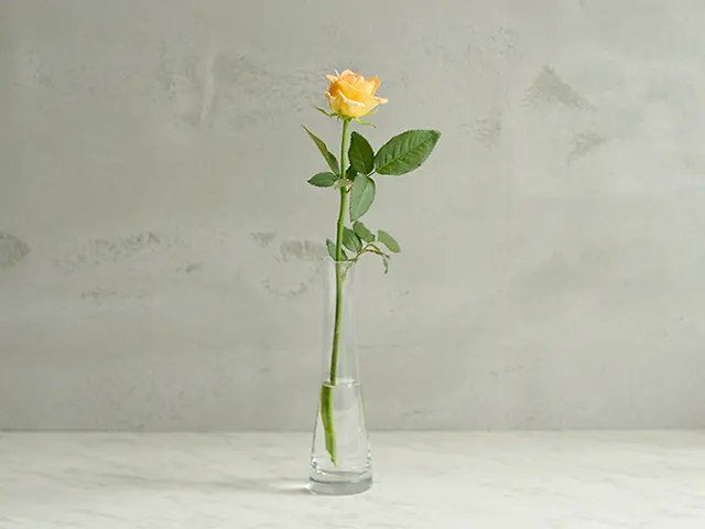 花瓶に入ったバラ