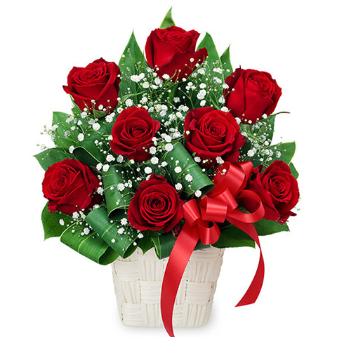 赤いバラの花言葉は「情熱・愛情・美」