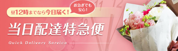 当日配達特急便