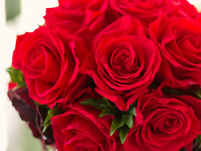 父の日 赤いバラ | 父の日 花のギフト・プレゼント特集2022