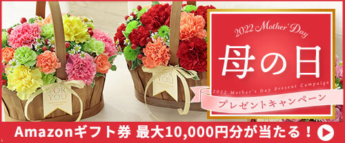 色が変わるのはなぜ 不思議な花 あじさい の秘密を徹底解剖 花や花束の宅配 フラワーギフト通販なら花キューピット 贈り物 プレゼントで花を贈ろう