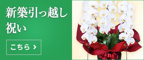 新築 引っ越し祝いの予算相場 おすすめのお花 掛紙 のし の注意点など マナー基礎知識 フラワーギフト通販なら花キューピット