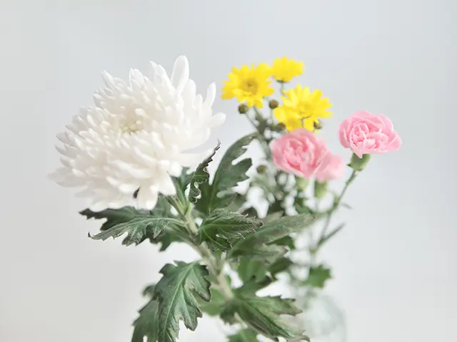 仏花(菊、シマカンギク、カーネーション)
