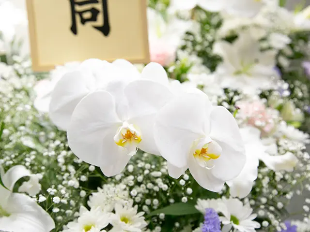 葬儀で供えられた胡蝶蘭