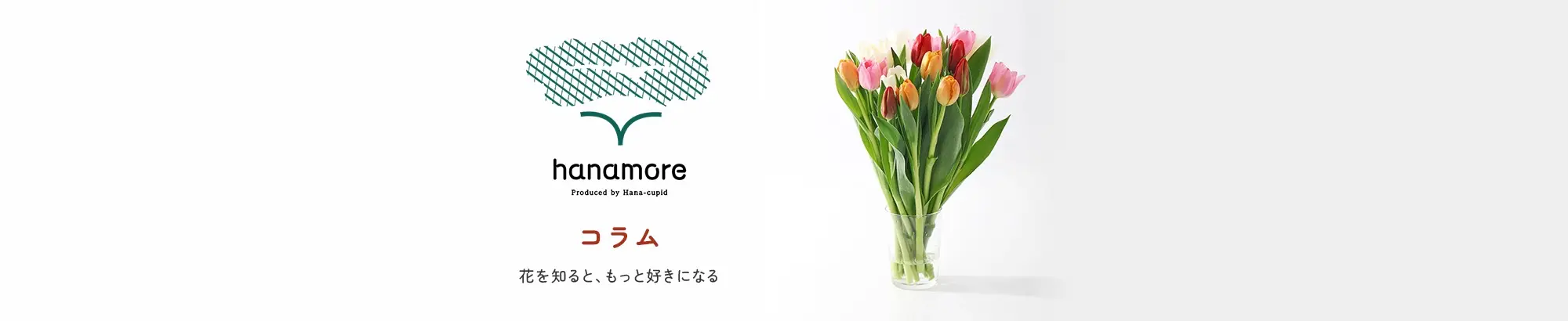 hanamore -ハナモア- コラム｜花や花束の宅配｜フラワーギフト通販なら花キューピット