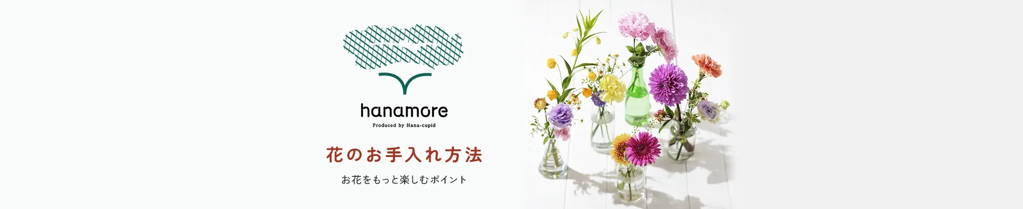 花生活 〜ちょっとしたコツで楽しく育てる〜