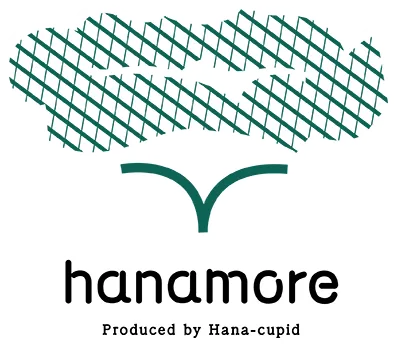 hanamore