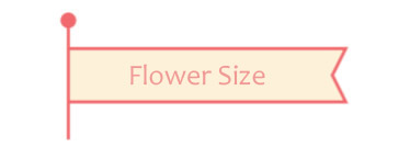 花のサイズ一覧