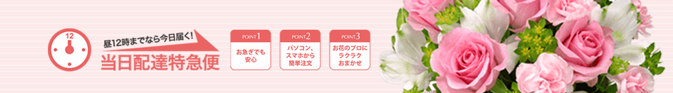 当日配達特急便