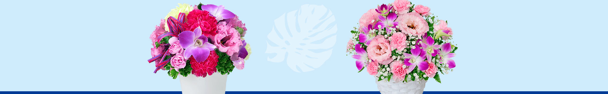夏の花贈り プレゼント・ギフト特集2022｜花束・アレンジメントのフラワーギフト通販なら花キューピット