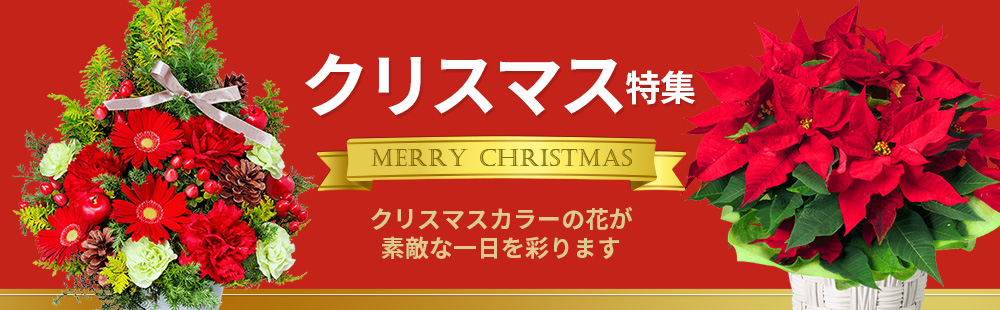 花キューピット公式サイト フラワーギフトのご注文は花キューピット