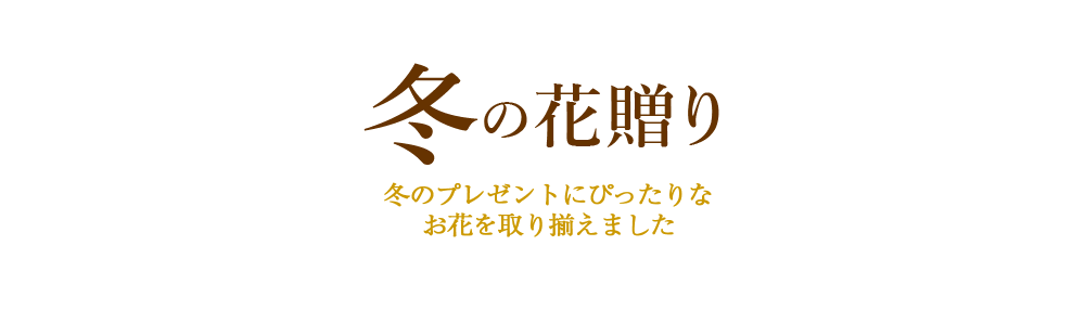 冬の花贈り特集19 花キューピット 冬の花贈り特集の花 フラワー通販なら花キューピット