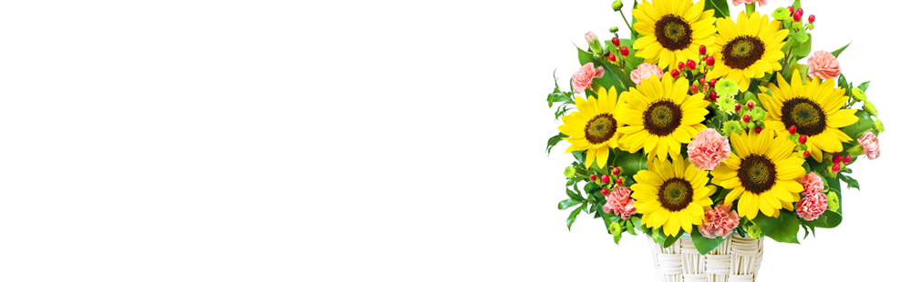 花キューピットの7月の誕生花