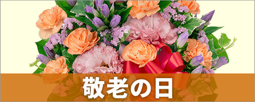 敬老の日におくる花ギフト・プレゼント特集