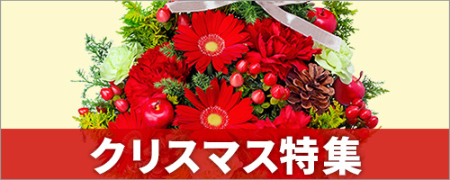 クリスマス