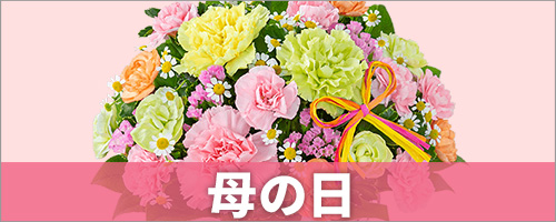 母の日 花のギフト・プレゼント特集