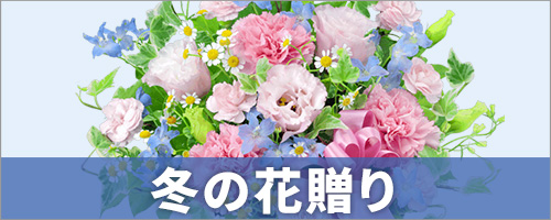 お歳暮・寒中見舞い・冬の花贈り
