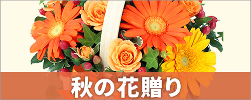 秋の花贈り・お祝い 花のギフト・プレゼント特集