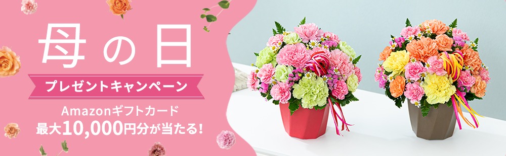 開催中のキャンペーン