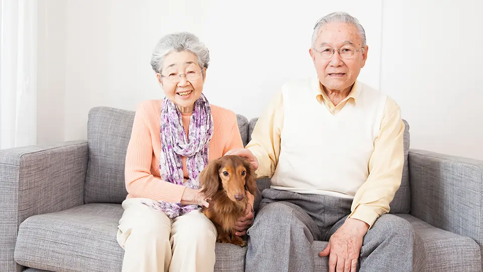 80代の祖父母が喜ぶ敬老の日のプレゼント。楽しく会話するポイント・入院している時に気を付けること