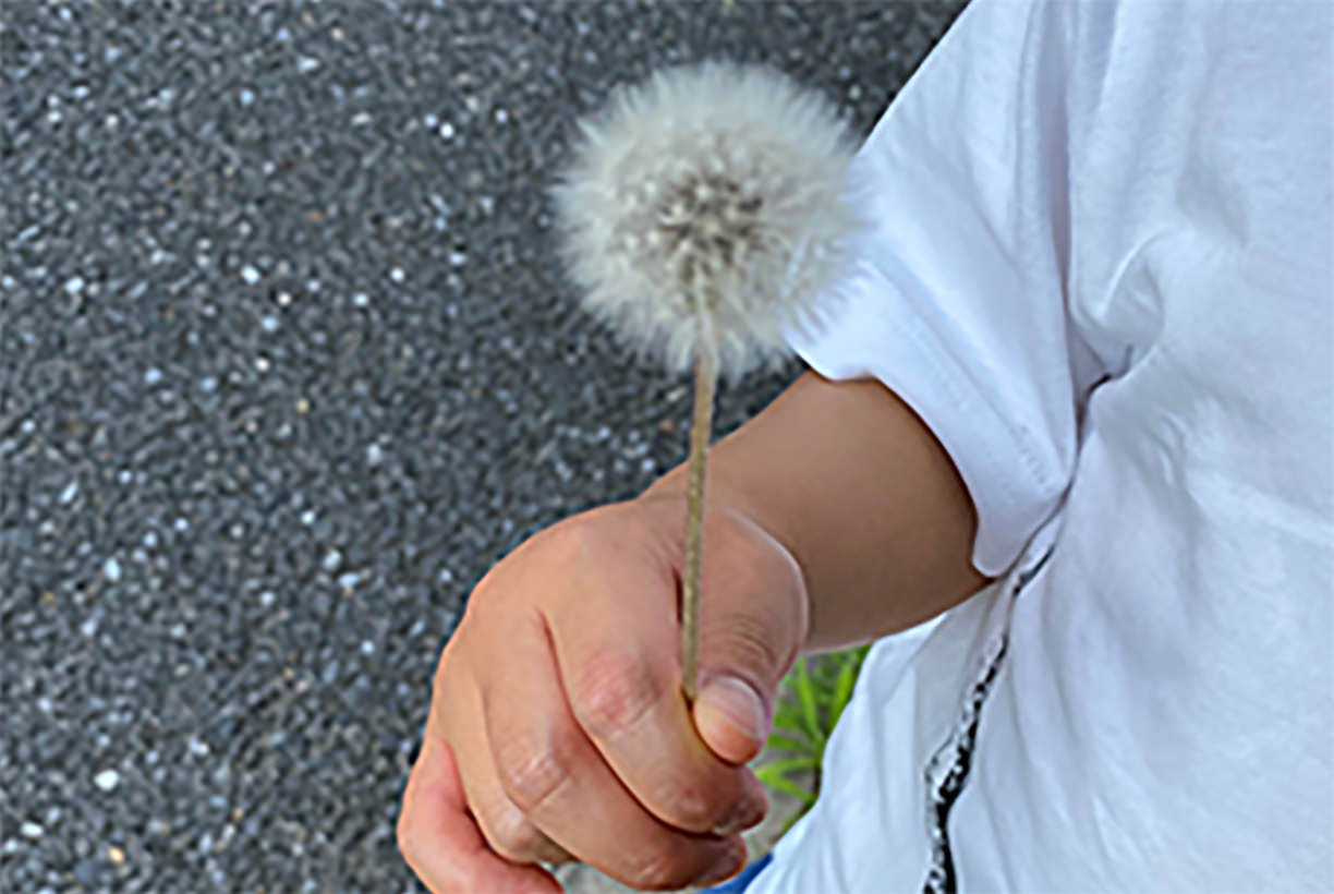 『タイセツ』を花で贈る小さい人（著者：きなこ）