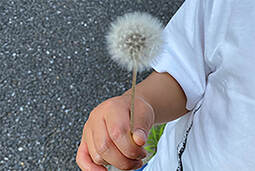 『タイセツ』を花で贈る小さい人（著者：きなこ）｜敬老の日 花のギフト・プレゼント特集2024