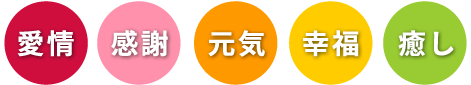 5つの色に想いを込めて |カーネーション