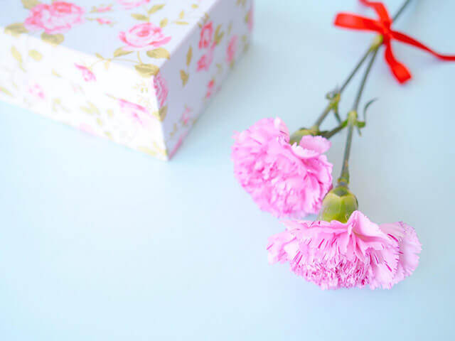 ピンクのカーネーション｜母の日ギフトにおすすめ 花の種類・花言葉・お手入れ方法特集2026
