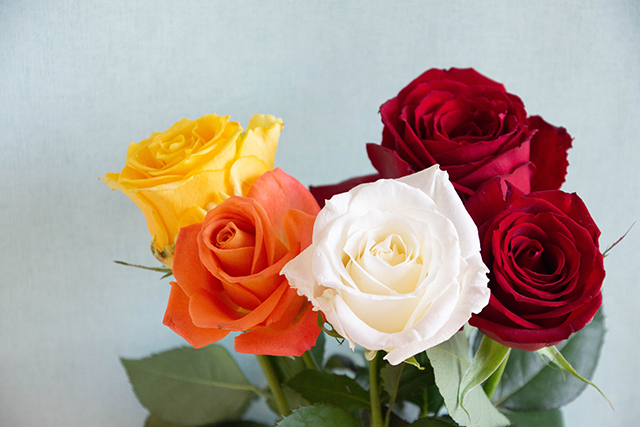 5本のバラの花束｜母の日におすすめな花の種類！感謝が伝わる花言葉・カーネーション以外のおしゃれな花2025