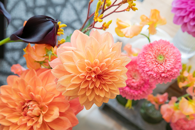 母の日の花 オレンジのダリア｜母の日におすすめな花の種類！感謝が伝わる花言葉・カーネーション以外のおしゃれな花2025