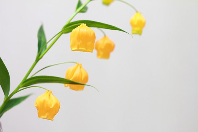 母の日の花 サンダーソニアの花｜母の日におすすめな花の種類！感謝が伝わる花言葉・カーネーション以外のおしゃれな花2025